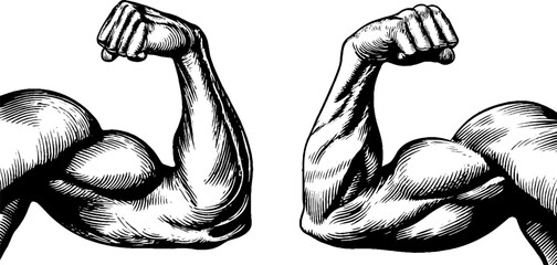 Anatomical study of arm and shoulder muscles for fitness and health education