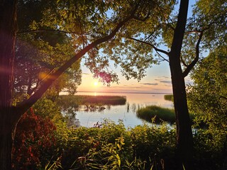 Tree with leaves is in front of a lake. The sun is setting and the sky is orange. Pleshcheevo lake...
