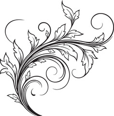 Elegant floral flourish design features swirling lines and leaves in a decorative black and white vector illustration.