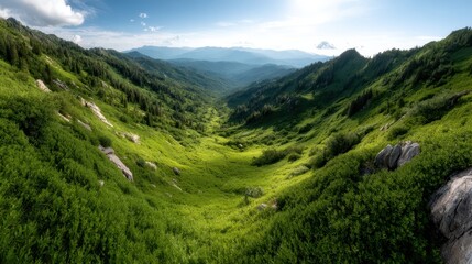 Naklejka premium This panoramic image features a breathtaking valley nestled between majestic mountains, showcasing lush green meadows and a serene atmosphere ripe for exploration and tranquility.