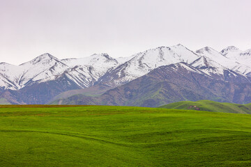 Snow-capped mountains over green fields in serene Kyrgyzstan landscape