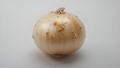 onion, photo of onion with white background and good lighting