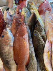 Fresh fish at market in Singapore