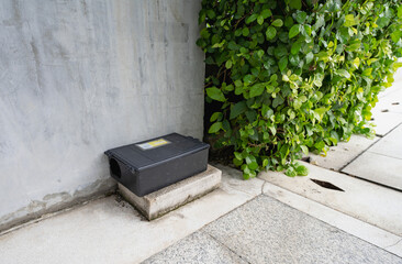 Tamper proof black rodent bait station placed on concrete ground near green foliage. Modern...