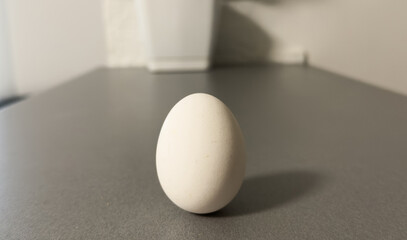 Close-up image of a single brown chicken egg placed on a white surface with a gradient light in a...