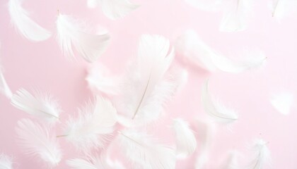 Delicate White Feathers Against a Light Pink Background