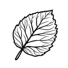 Autumn leaves icons in black and white, hand-drawn style for seasonal use

