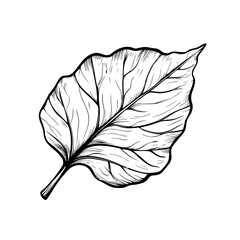 Autumn leaves icons in black and white, hand-drawn style for seasonal use