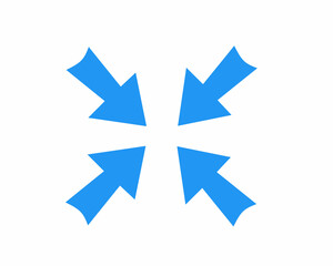 blue star shaped ribbon