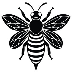 A cute black and white vector cartoon bee character with wings, a funny insect illustration flying in nature