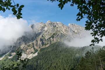 apuane