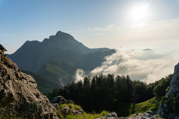apuane