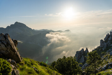 apuane