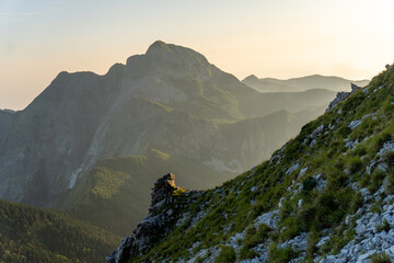 apuane