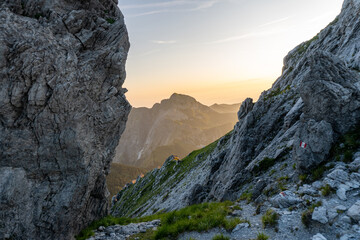 apuane