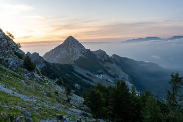 apuane