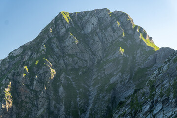 apuane