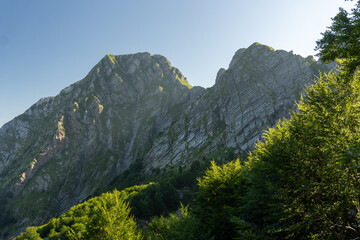 apuane
