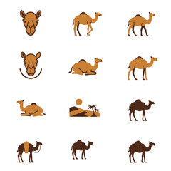 Vector graphic displays nine camelthemed icons arranged on a white background