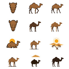 Variety of camel graphics in shades of brown and silhouette some with desert elements