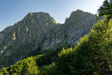 apuane