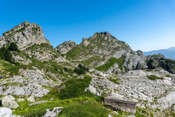 apuane