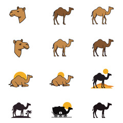 A collage of nine cartoon camel illustrations with various poses  settings