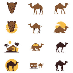 A collection of stylized brown camel illustrations in varied poses some with desert or sun elements