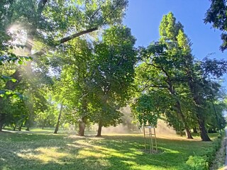 play of sunlight and dust