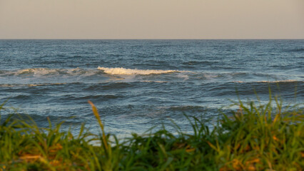 Calm ocean waves gently lap against the shore, framed by lush green grass, creating a serene coastal atmosphere with a soft golden light illuminating the scene beautifully