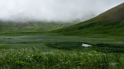 Lush green landscape with rolling hills and misty clouds, showcasing a serene natural environment,...