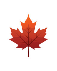 Isolated red maple leaf illustration on transparent background for autumn designs. Perfect for seasonal projects, educational materials, and nature-themed graphics.