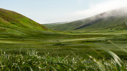Lush green valley landscape with rolling hills, vibrant grass, and soft mist hovering above,...