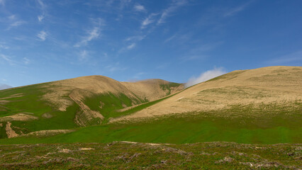 Expansive green hills with gentle slopes under a clear blue sky, showcasing the beauty of nature...