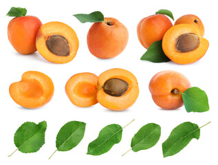 Fresh ripe apricot fruits and green leaves on white background, collage