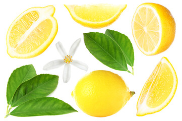 Fresh lemons, green leaves and flower on white background, collage. Citrus fruit