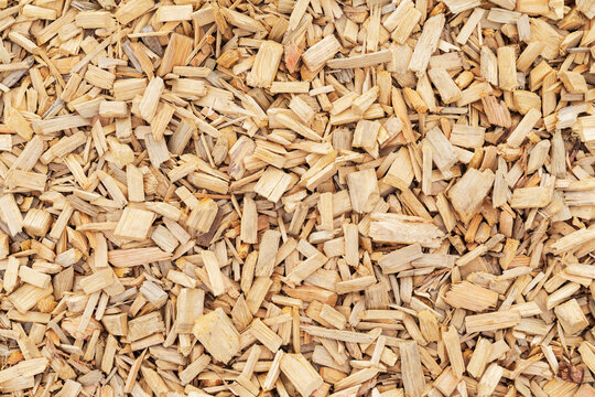 Biodegradable wood chips used for environmentally friendly landscaping