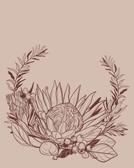 Hand drawn linear illustration of a protea flower in brown ink on a beige background. Elegant botanical composition in minimal vintage style. Perfect for floral prints, packaging, poster