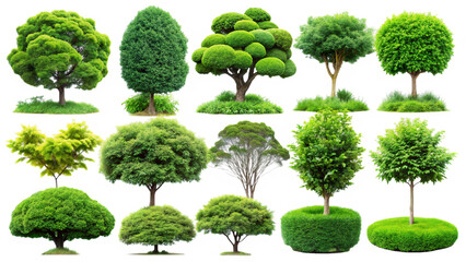 Collection of Various Green Trees and Topiary Bushes with Textured Background isolated on a transparent background