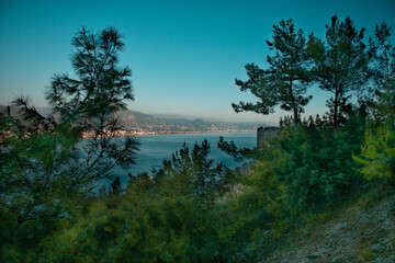 Seaside town view framed by pine trees on a sunny day