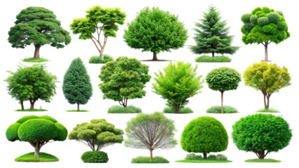 Assortment of Lush Green Trees and Shrubs in Various Shapes and Sizes isolated on a transparent background