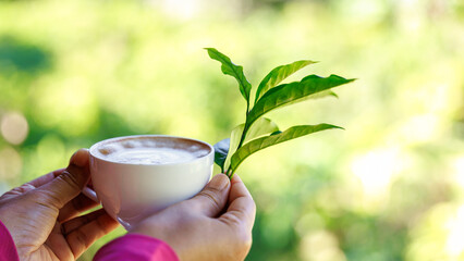 close up cappuccino cup coffee and green leaves coffee in her hand nature backgrounds.