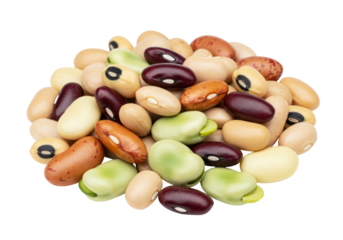 Isolated Pile of Assorted Dry Beans - Healthy Legumes
