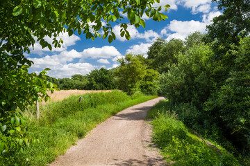 Wanderweg Kollau Hamburg Schnelsen Sommer