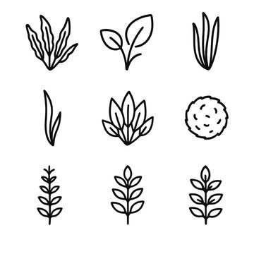 Aquarium Plant Icons. Outline icon set of aquarium plants: java fern, anubias leaf, amazon sword plant, vallisneria blade,