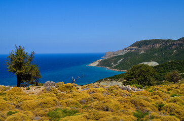 Fototapeta premium A beautiful blue ocean with a mountain in the background. The sky is clear and the sun is shining