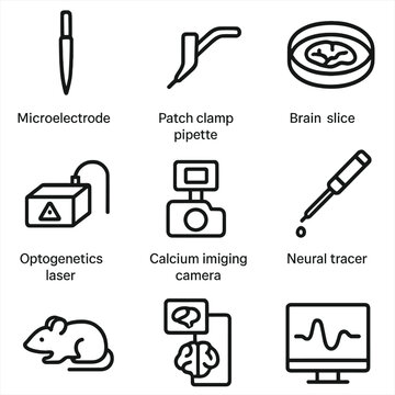 Brain Research Tools Icons. Outline icon set of brain research tools: microelectrode probe, patch clamp pipette, brain slice dish,