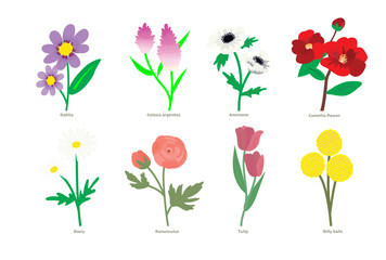 Obraz premium set of colorful tulips