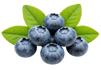 Isolated Fresh Blueberries with Green Leaves Arrangement