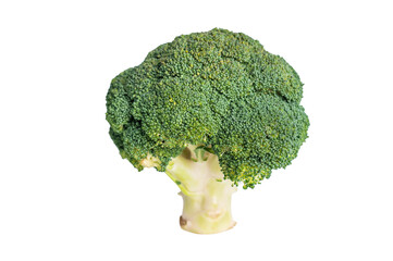 Fresh raw broccoli isolated on white background. top view